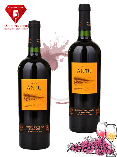 Rượu Vang Antu Cabernet Sauvignon