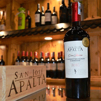 Rượu vang Chile Apalta Gran Reserva Cabernet Sauvignon
