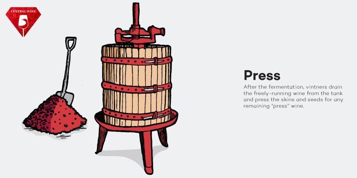 Sau khi làm rượu xong, vỏ nho được ép để tạo ra rượu tiếp