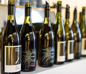 Những dòng vang của New Zealand