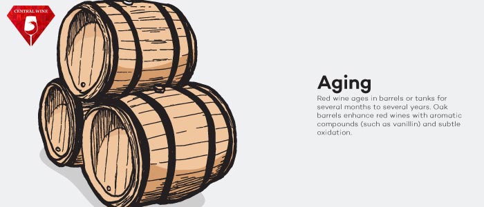 Ngâm ủ trong thùng - bước tạo hương vị quan trọng bậc nhất