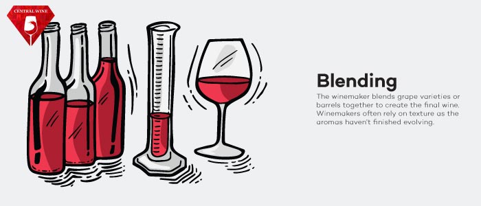 Pha trộn các loại rượu vang giữa các giống nho.