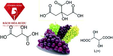 acid trong rượu vang