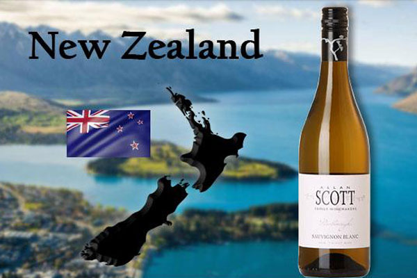 Rượu Vang Allan Scott Sauvignon Blanc