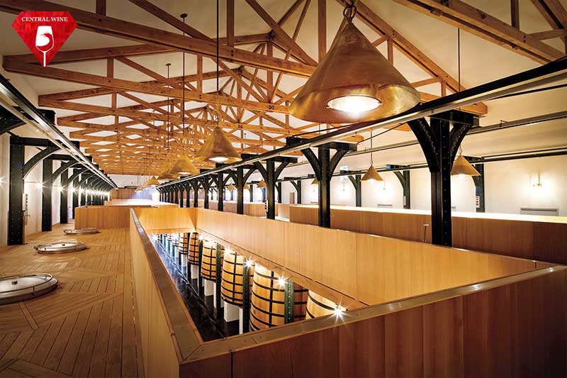 Hầm rượu nhà Château Mouton Rothschild