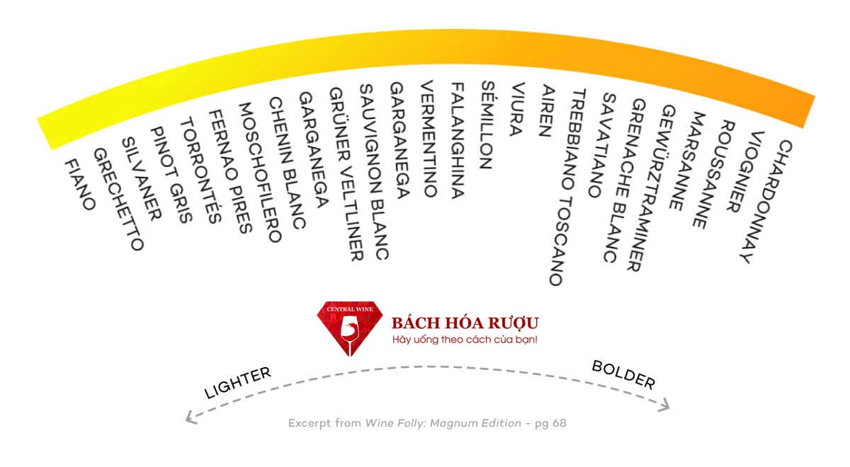 các loại vang trắng và xếp loại thân rượu
