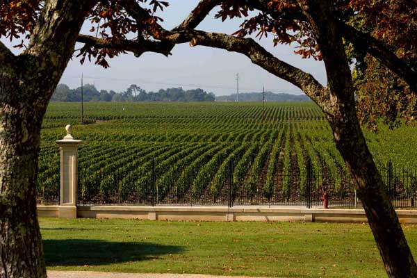 điền trang nhà chateau dauzac