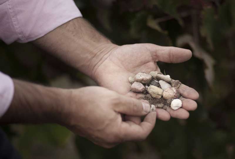 Chateau Dauzac sở hữu terroir độc đáo