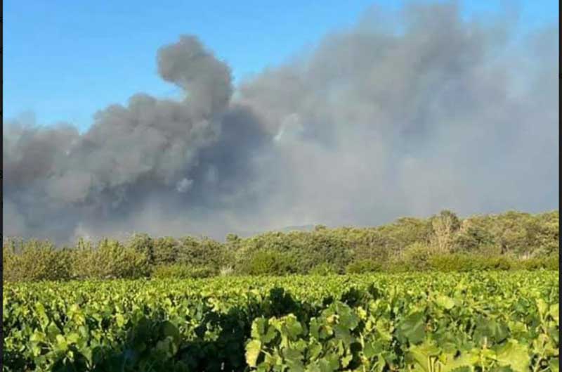 Cháy rừng nghiêm trọng miền Đông Nam nước Pháp.