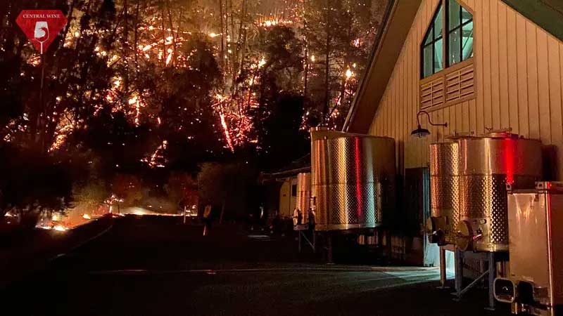 Cháy rừng kinh hoàng tại California ảnh hưởng mạnh tới các vườn nho