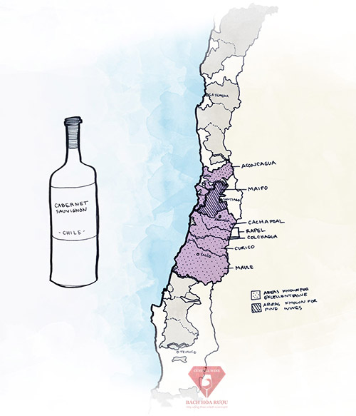 Vang Chile Cabernet Sauvignon Những vùng rượu vang ngon nhất
