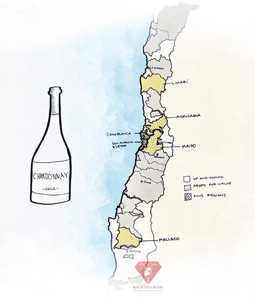 Vùng rượu vang ngon nhất ở Chile cho rượu vang trắng Chardonnay