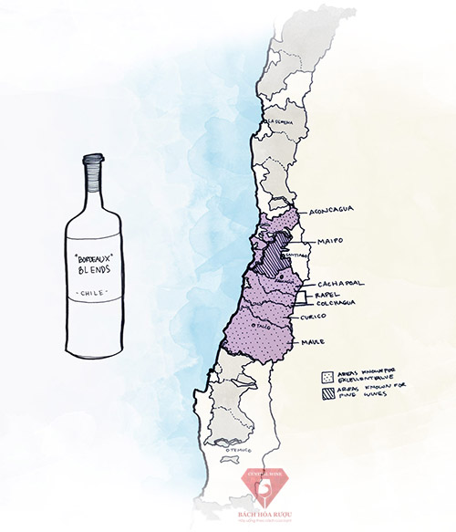 Vùng rượu vang ngon nhất ở Chile cho Bordeaux Blends