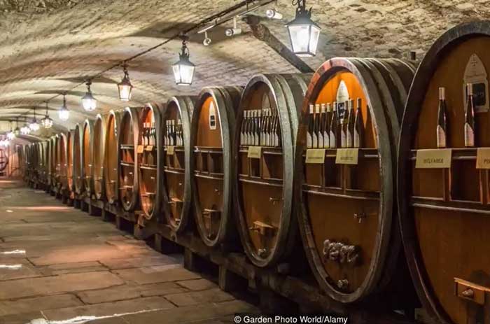 Hầm chứa rượu vang tại nơi chữa bệnh ở Pháp. Họ sử dụng khoảng 2 chai vang mỗi ngày để điều trị các loại bệnh khác nhau.