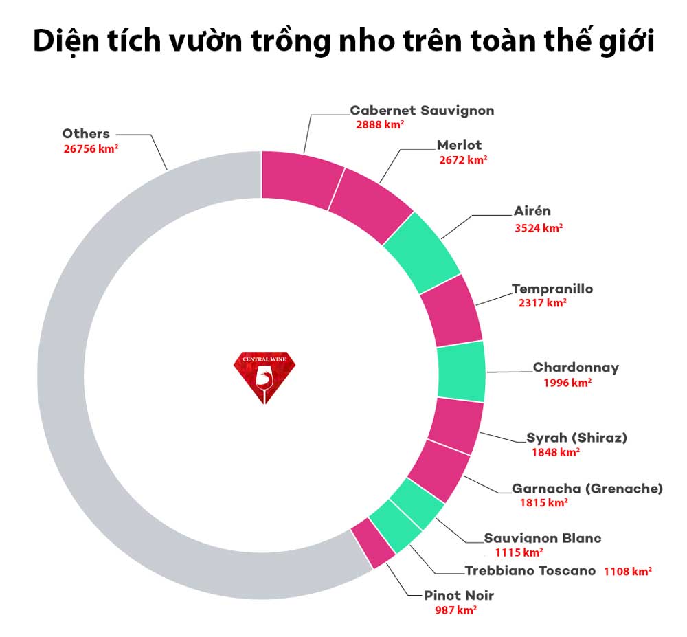 Diện tích trồng nho trên toàn thế giới