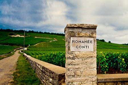 Vườn nho Domaine de La Romanée-Conti ở Burgundy