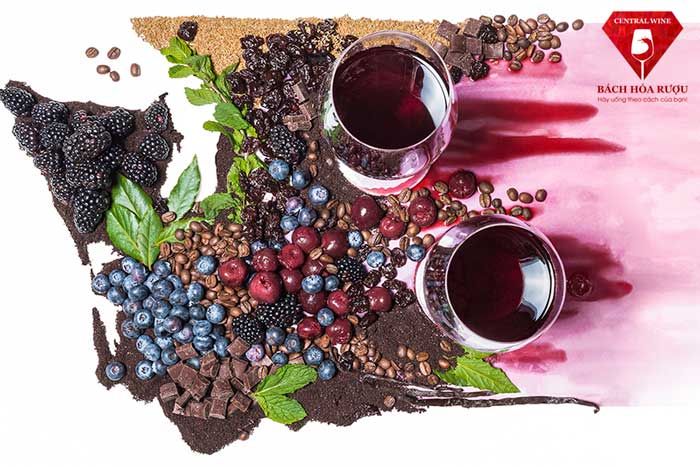 Các giống nho và hương vị làm nên rượu vang