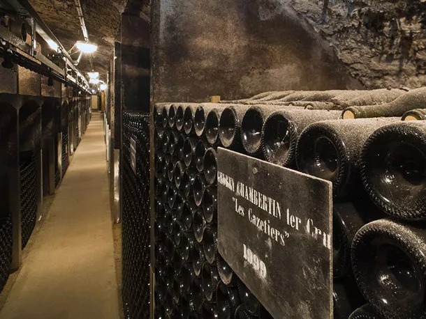 Hầm rượu tại Burgundy