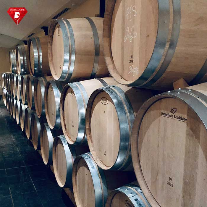 hầm rượu vang nhà chateau petit faurie de soutard