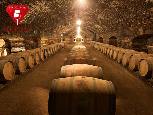 Hầm ngâm ủ rượu vang trong thùng gỗ sồi