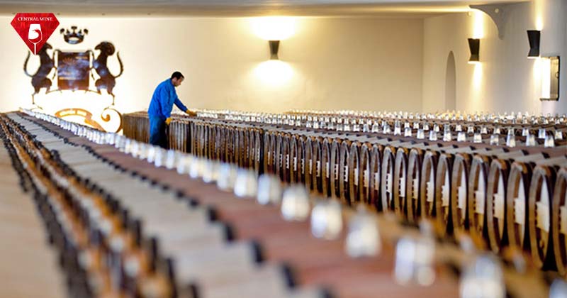 Hầm rượu vang Mouton Rothschild