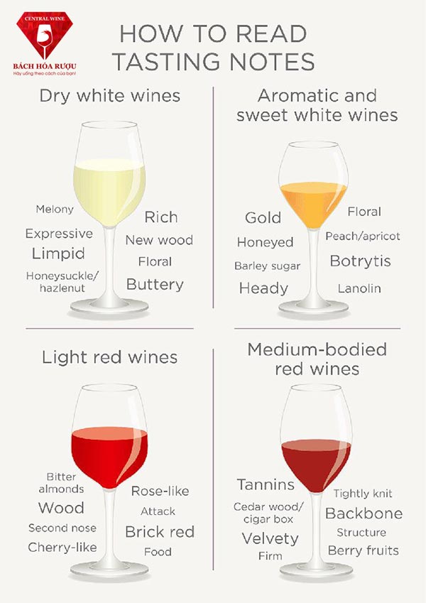 Nếm thử rượu vang như thế nào