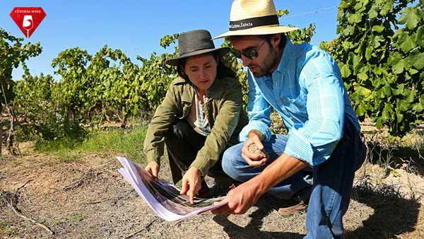 Nghiên cứu bằng chứng về terroir tại argentina