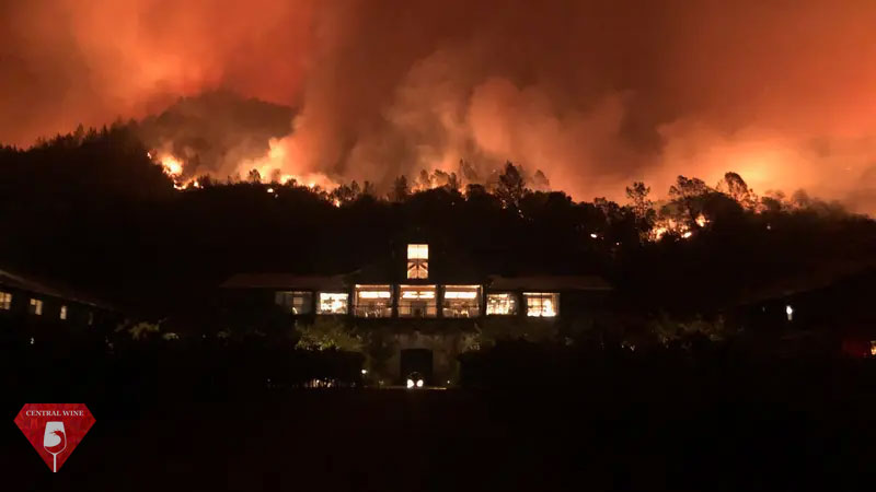 Cháy rừng chuẩn bị phá hủy một nhà máy rượu vang tại California