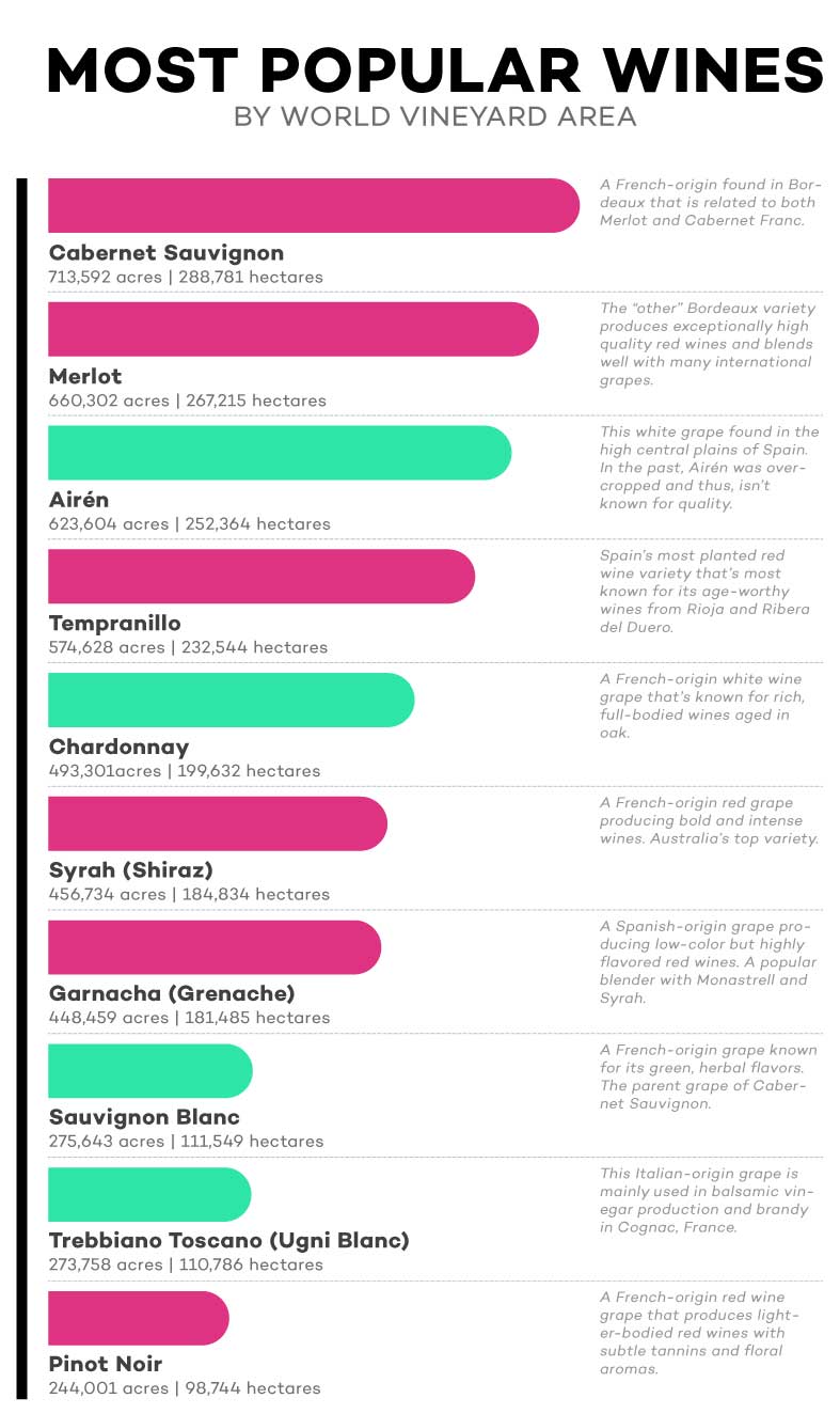 những loại nho làm rượu vang phổ biến nhất trên thế giới