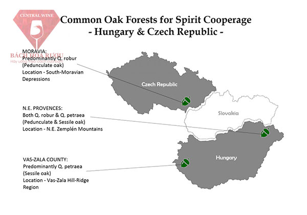 Bản đồ gỗ sồi HUngary Czech Slovakia