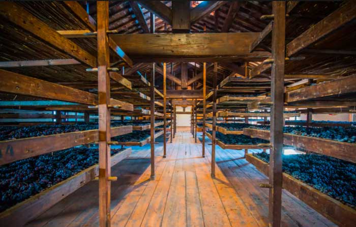 Nho làm khô bằng phương pháp hiện đại