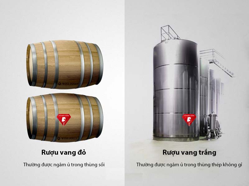 sự khác biệt giữa rượu vang đỏ và rượu vang trắng