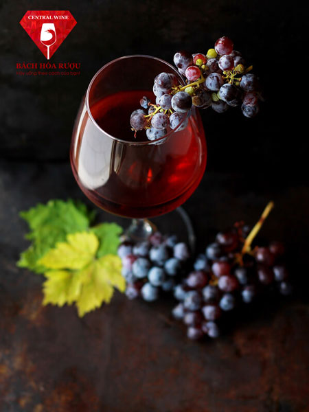 Rượu Vang Louis Jadot Cote de Beaune Villages