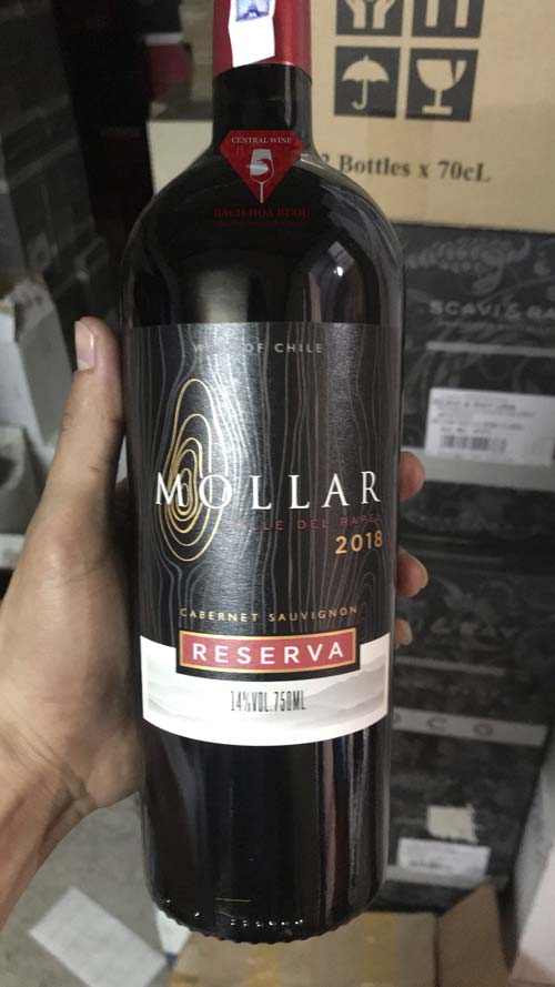 Rượu vang Chile Reserva Mollar