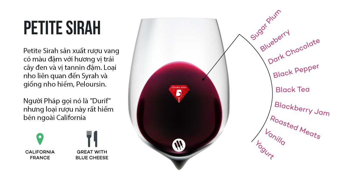 Rượu vang đỏ Petite Sirah cho người mới