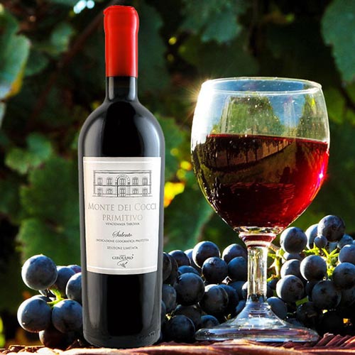 Rượu vang Ý Monte Dei Cocci Primitivo