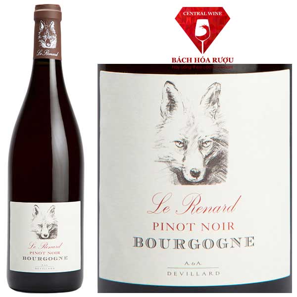 Rượu Vang Pháp Le Renard Pinot Noir Bourgogne