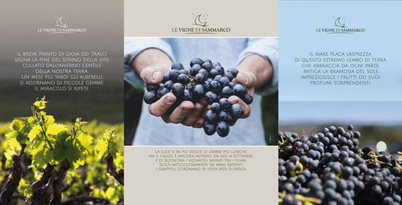 Vang Le vigne di Sammarco Salice Salentino Riserva