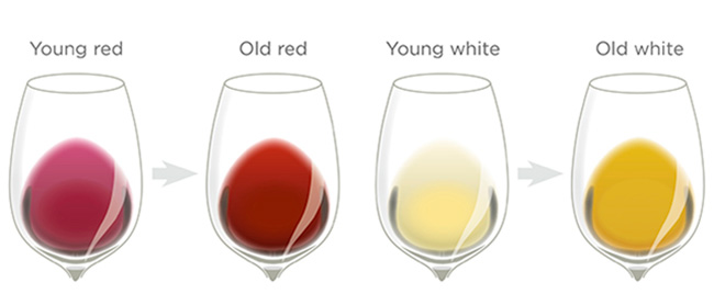 Sự khác nhau giữa rượu vang trẻ và rượu vang lão hóa