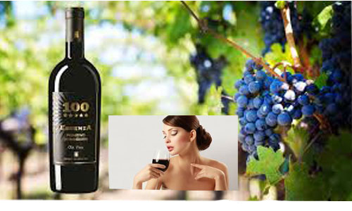 Rượu vang 100 Essenza Primitivo di Manduria