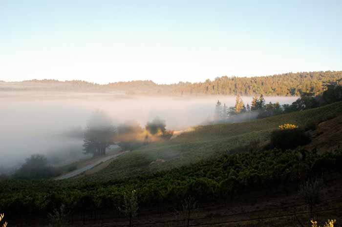 Dãy núi Santa Cruz - California