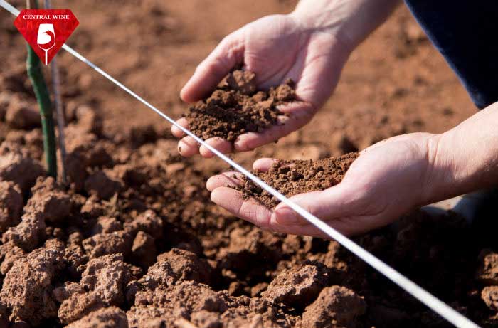 Terroi hiểu đơn giản là một Cảm giác về địa điểm