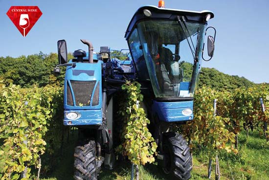 Thu hoạch bằng máy móc cho hiệu suất cao hơn