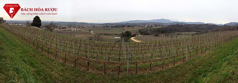 Thung lũng rượu vang Negrar thuộc vùng Classico của Valpolicella