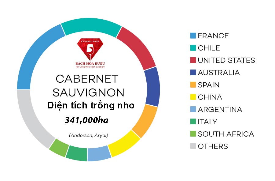 Tỉ trọng diện tích trồng nho Cabernet Sauvignon trên toàn thế giới