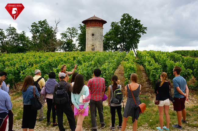Tour du lịch Bordeaux nhẹ nhàng đầy lý tưởng