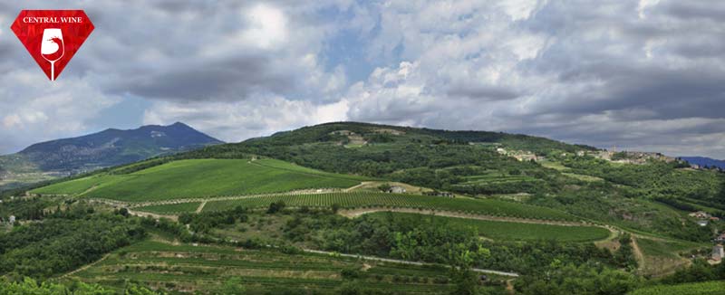 Valpolicella - vùng làm rượu vang đỉnh cao của Veneto