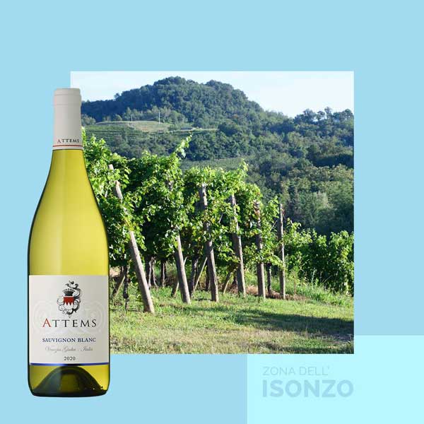 Vang trắng Ý Attems Sauvignon Blanc