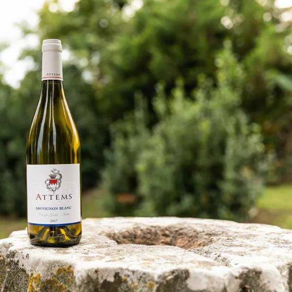 Vang trắng Ý Attems Sauvignon Blanc