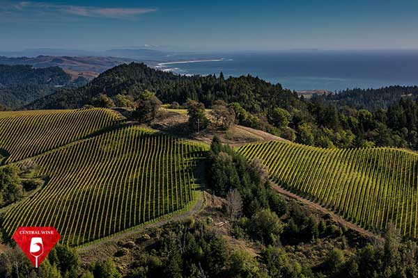 Fort Ross-Seaview, Mỹ